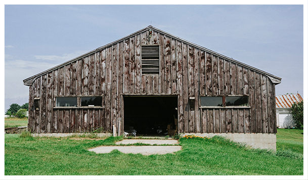 Lynyrd's farm